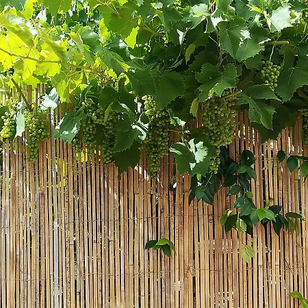 Kuca Za Odmor Rino * Štokovci